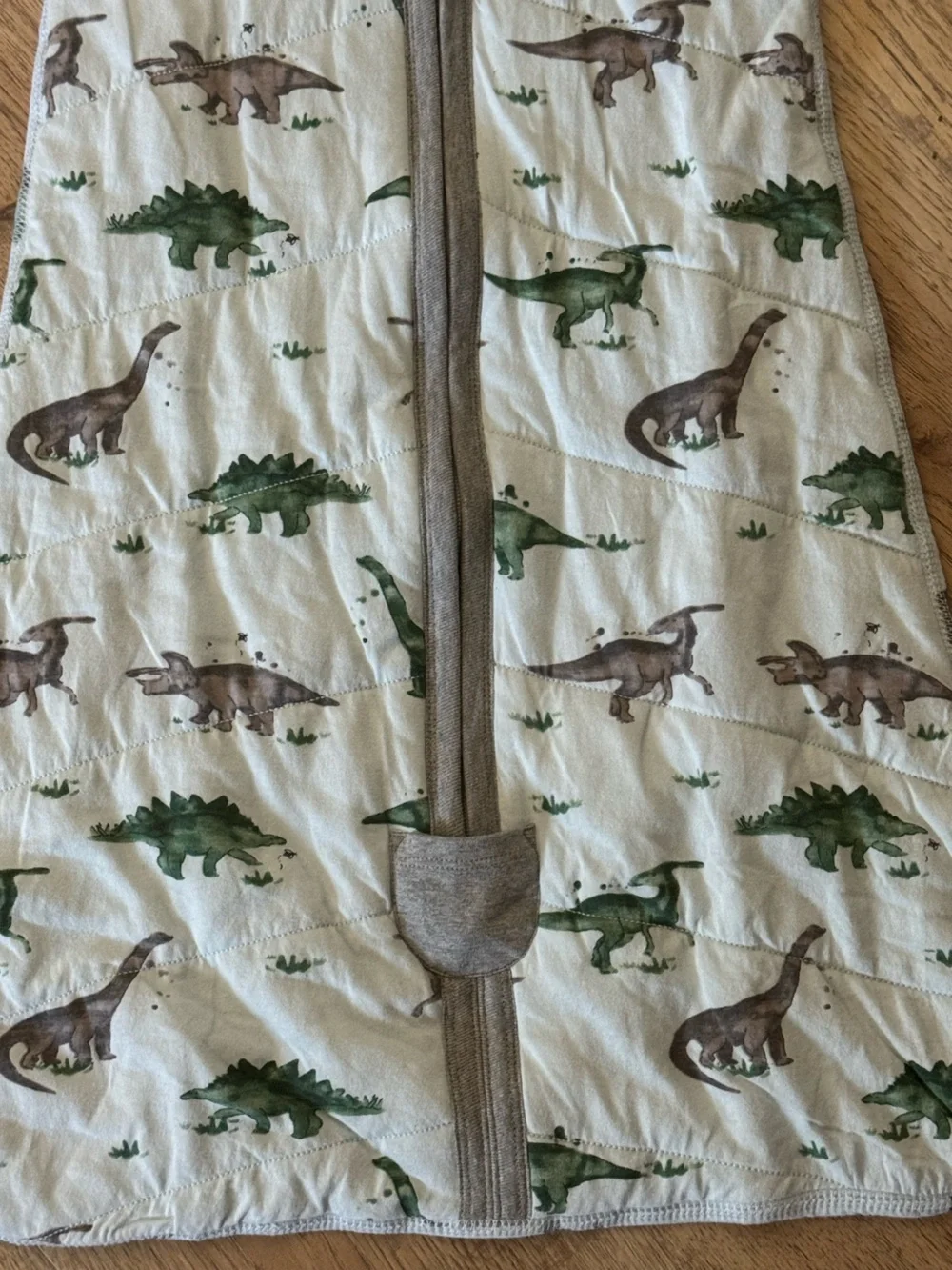 Burt’s Bees Baby Beekeeper Dinosaur Sleep Sack Wearable Blanket 0-6M Small